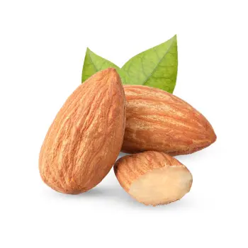  Fresh Broken Almond